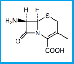 CEFALEXIN EP IMPURITY B